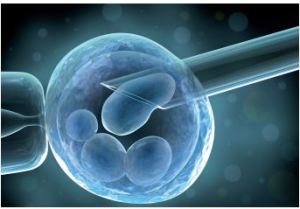 La Consulta cambia la legge 40: si all'eterologa