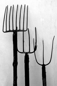 Dove sono finiti i Forconi?