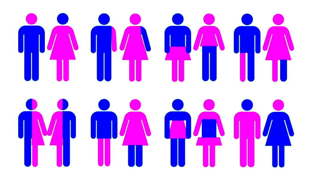 La sparizione degli eterosessuali