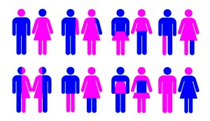 La sparizione degli eterosessuali