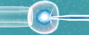 Procreazione assitita, la disinformazione dilaga