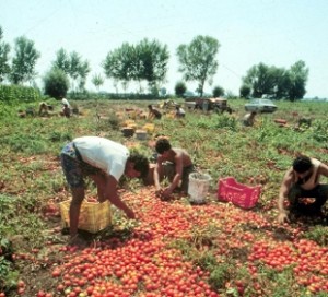 Ddl anti caporalato è legge
