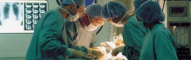 Il Senato approva in via definitiva il ddl Palumbo sul trapianto di organi tra i vivi