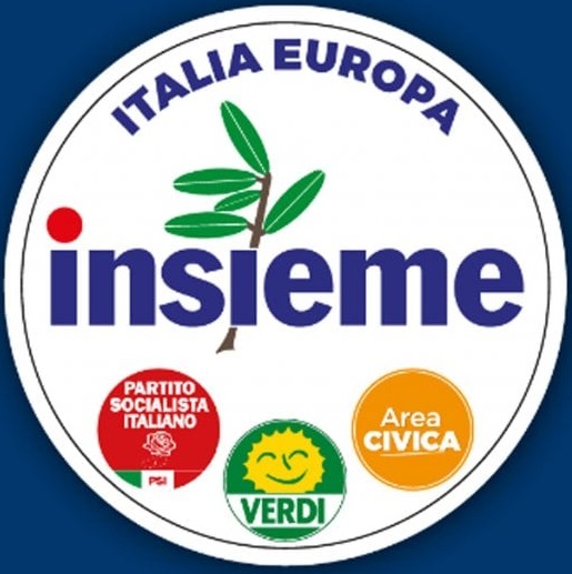 Rinasce Insieme. La gamba di sinistra dell'alleanza col Pd