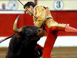 Barcellona ha deciso: vietata la corrida