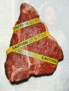 Forti dubbi sulla salute degli animali clonati.