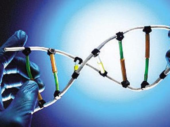 Gran Bretagna: via libera ai bambini clonati