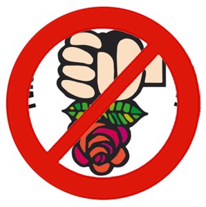 La crisi della Rosa nel Pugno