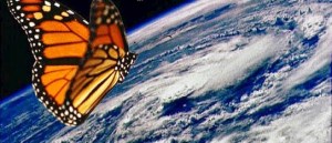 La farfalla e il terremoto