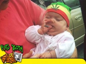 "Non esiste una dose letale di cannabis"