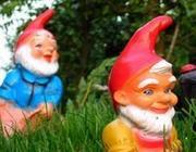 Fronte di Liberazione Nani da Giardino