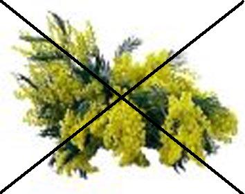 L'8 marzo... è ancora da festeggiare??