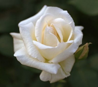 Mario Baccini e Bruno Tabacci lasciano l'Udc.