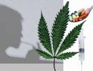 Raddoppia l'uso di cannabis e cocaina, in calo l'eroina