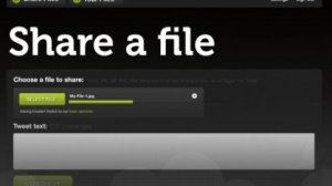 Scaricare da Internet file protetti non è reato se non ci si guadagna