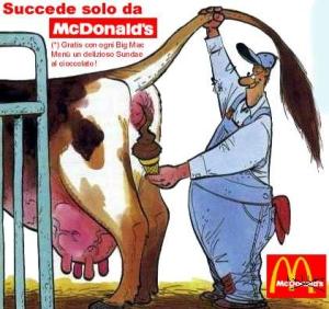 Sostanze cancerogene nei polli denunce per McDonald e Burger King