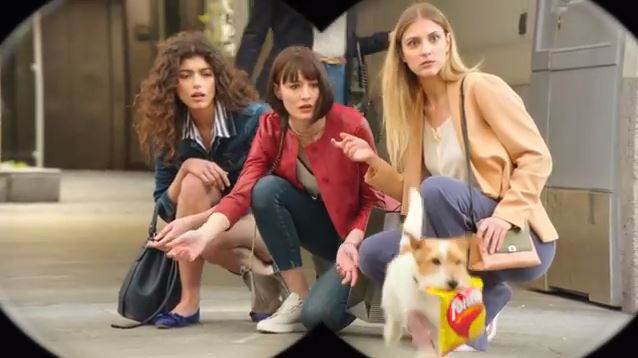 Pubblicità Fonzies. Cane finto invalido che ruba patatine su commissione