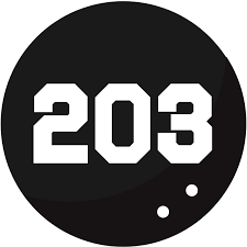 203 giorni di governo De Gasperi II