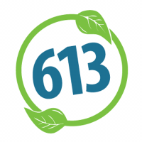 governo De Gasperi V