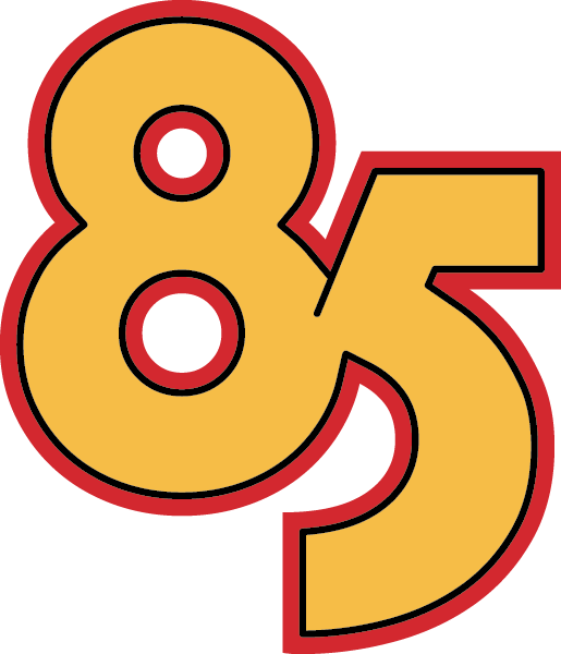 85 giorni di governo Depretis II