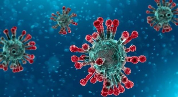 Coronavirus, scoperta la strada con cui invade l'organismo